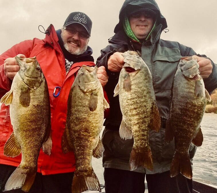 Smallmouth1