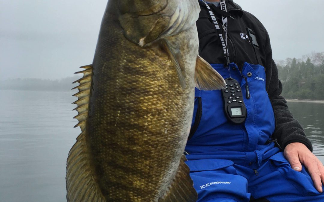 Smallmouth3