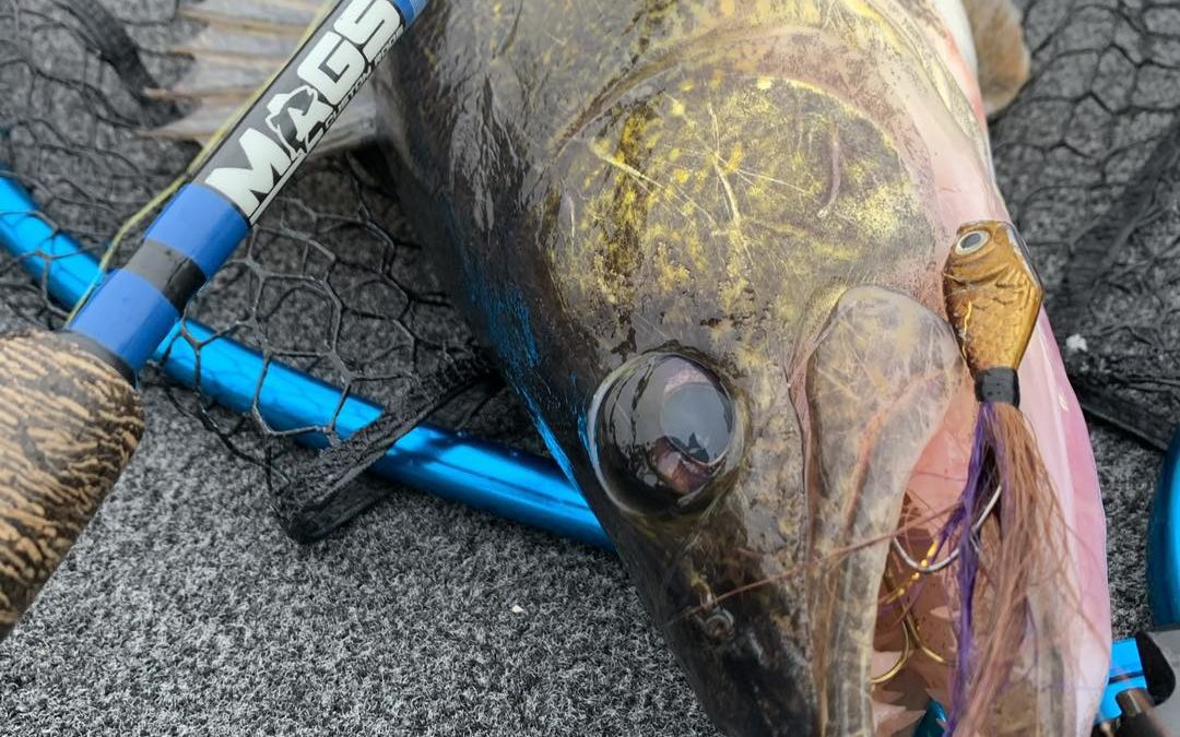 Walleye Jigs For Epic Walleye Fishing