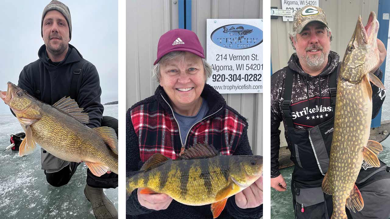 Early Ice Fishing Walleye, Perch and Northern Pike